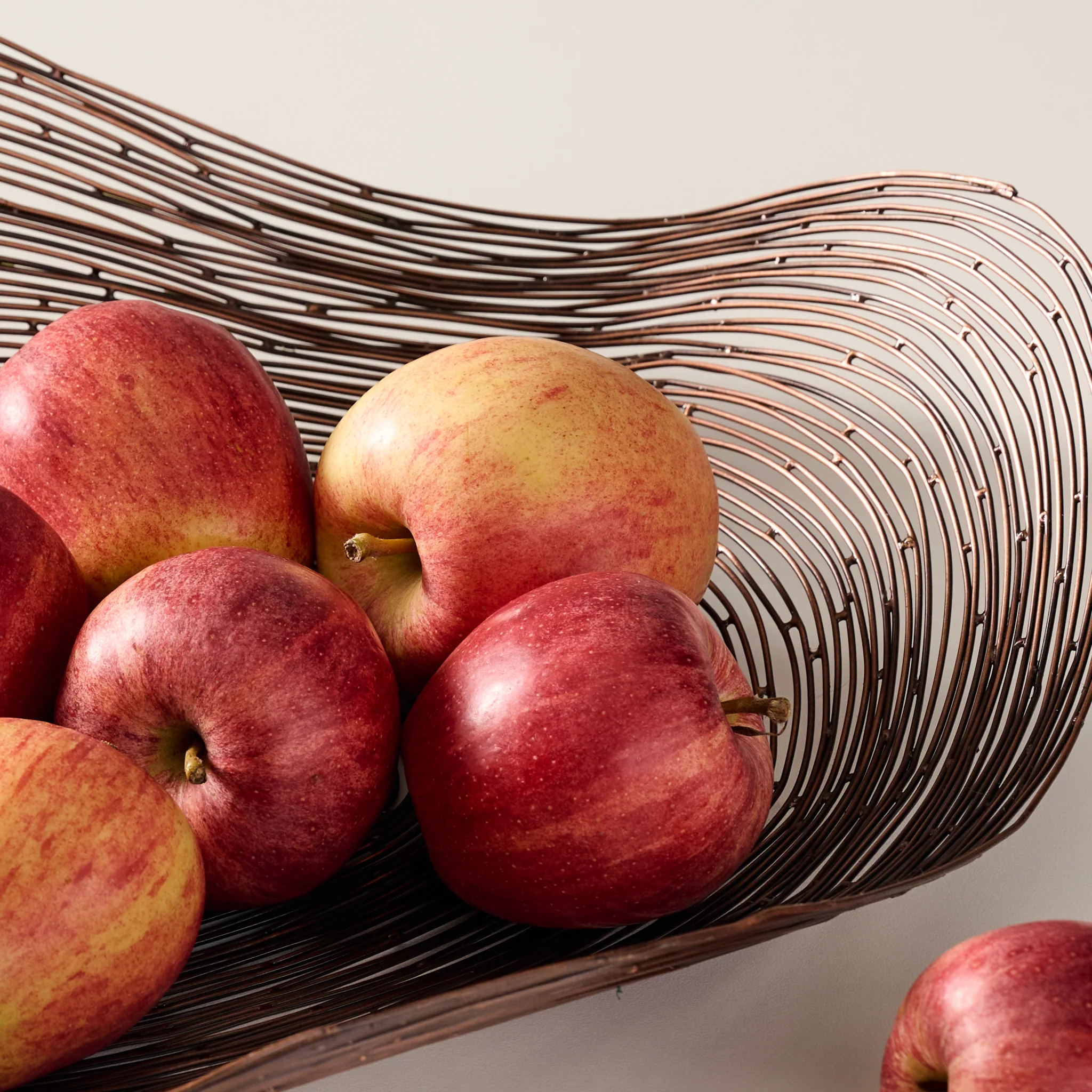 Home + Garden New Items